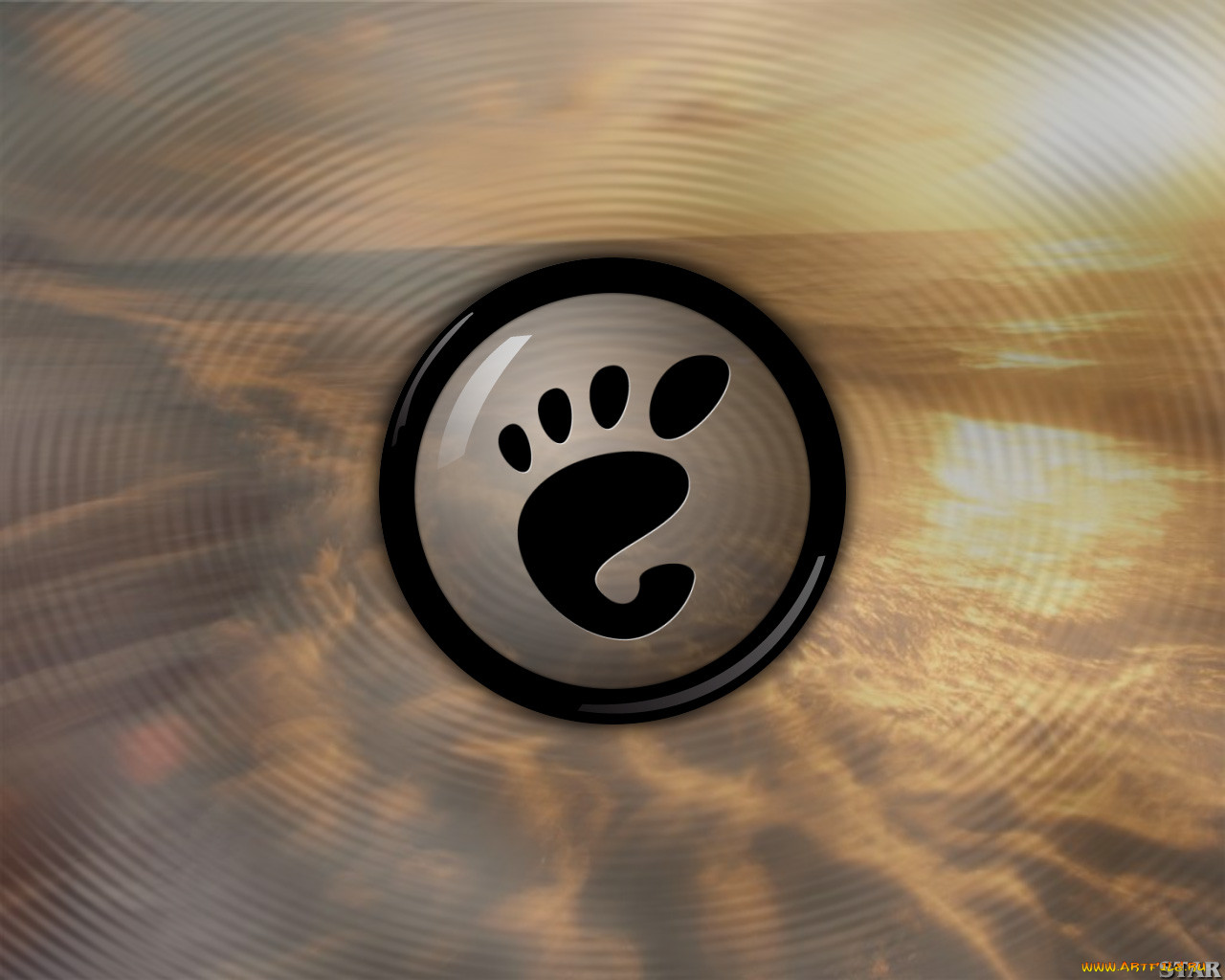 , gnome